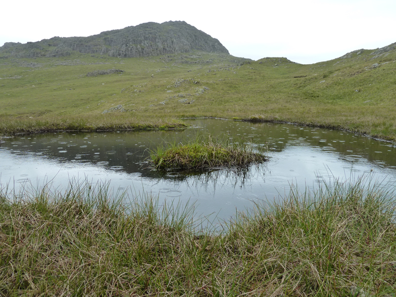 Rosthwaite Fell